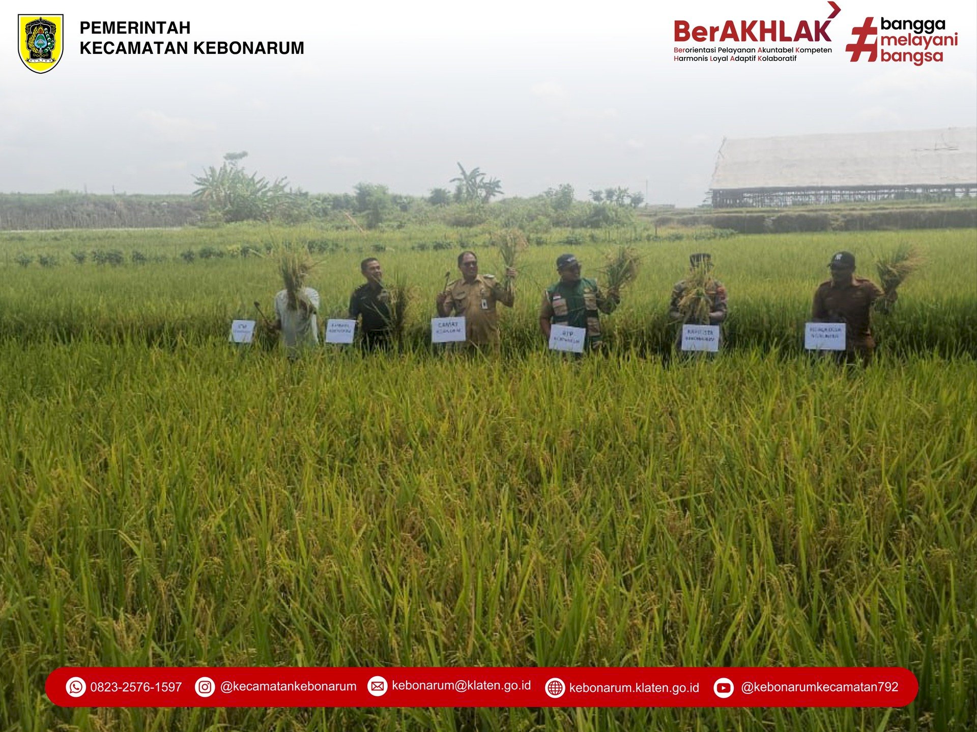 Panen Raya Desa Ngrundul: Sinergi Forkopimcam Perkuat Ketahanan Pangan Kebonarum