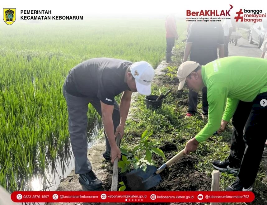Aksi Nyata Peduli Lingkungan: Pemerintah Kecamatan Kebonarum, Pemdes Karangduren, dan KMK Undip Tanam Pohon Bersama